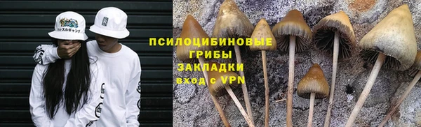 спайс Абинск
