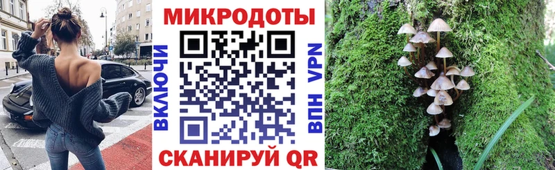 наркота  Инза  Псилоцибиновые грибы MAGIC MUSHROOMS 
